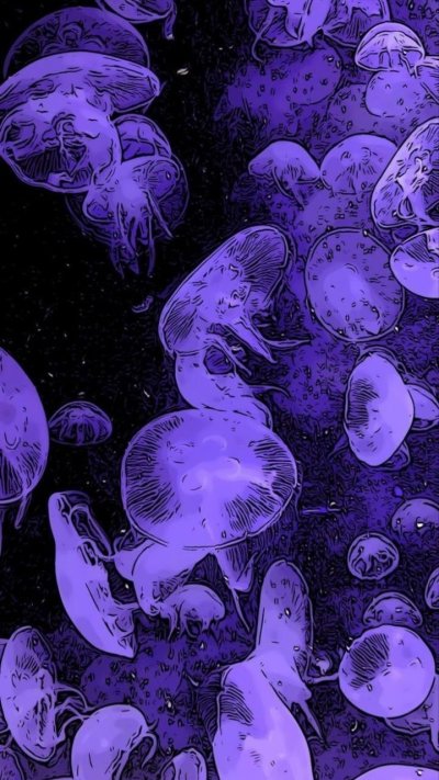 Обои для тиктока