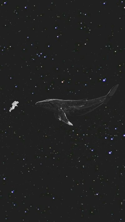 Ехо кит Sing for you