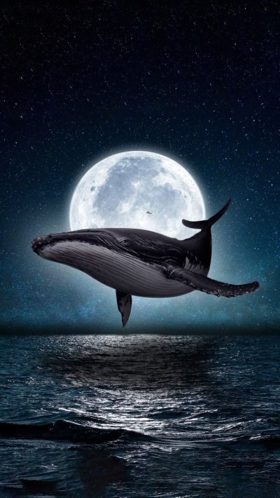 Одинокий кит 52 Герца