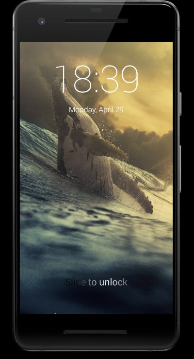 Красивый кит