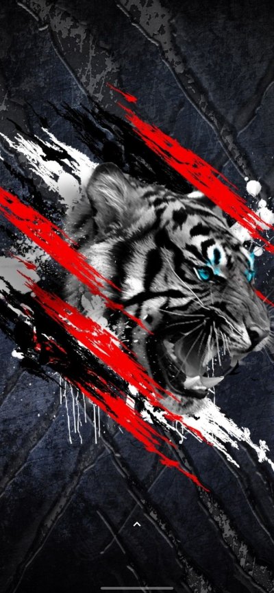 Обои на телефон тигр