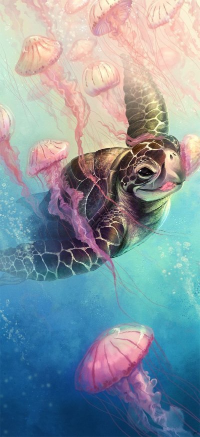 Подводный мир