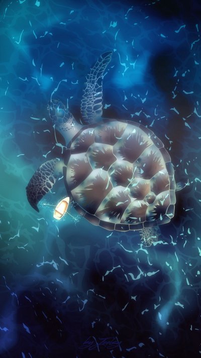 Обои на телефон черепаха