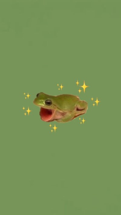 Обои на телефон с лягушками