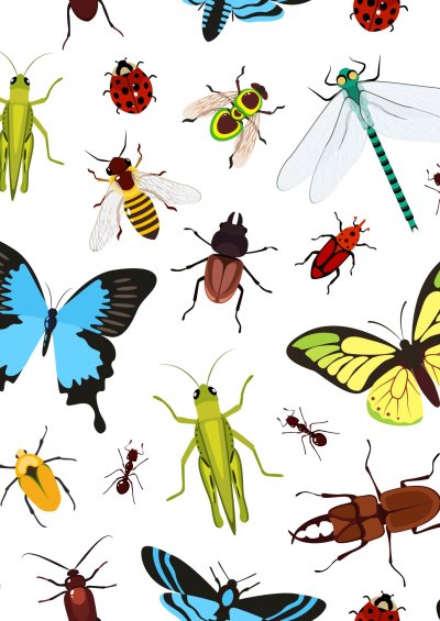 Насекомые вектор