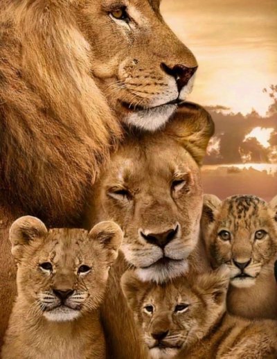 Четыре Льва