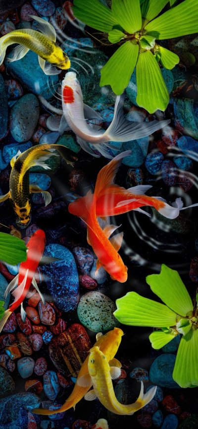 Алмазная картина 5d DIY Koi Fish Flows