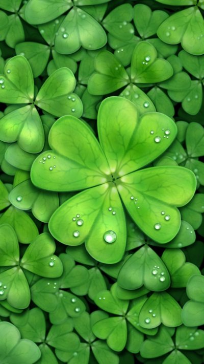 Четырёхлистный Клевер на удачу