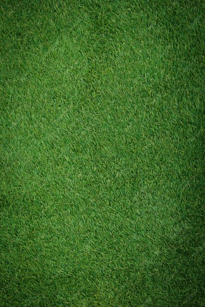 Фон однотонный газон