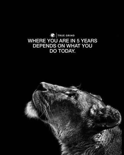 Черная львица