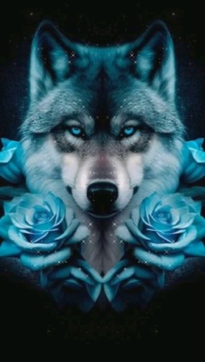 Ночные волки