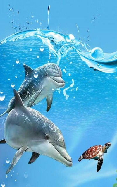 Дельфины