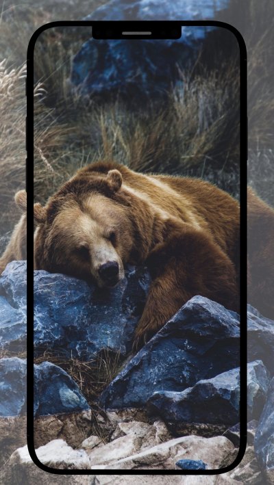 Zippo медведь