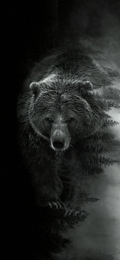 Аватарки для профиля 2024 года темные с медведем