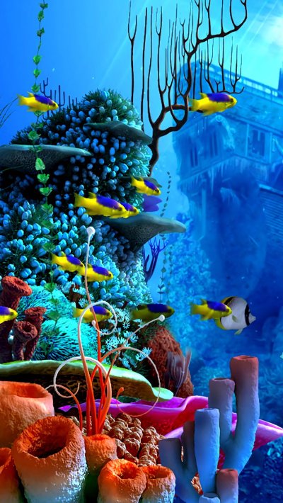 Подводный мир