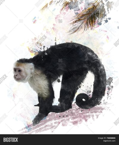 Обезьяна акварелью