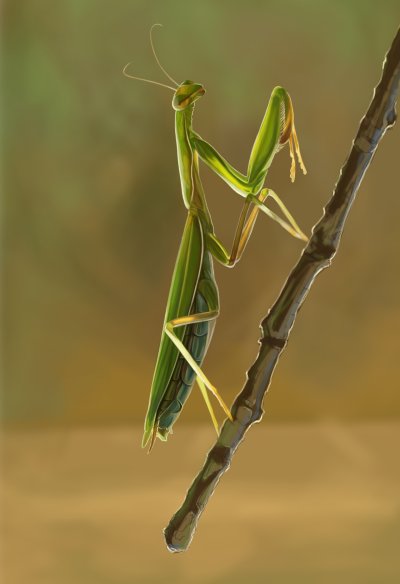 Природа удивляет и восхищает