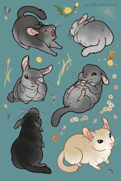 Крыса референс