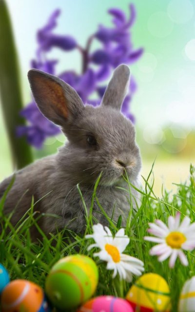 Фрое Остерн