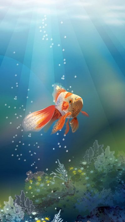 Золотая рыбка