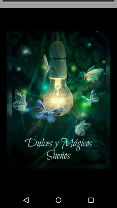 Волшебные бабочки