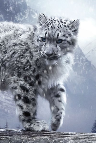 Саблезубый снежный Барс