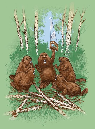 Бобры семья