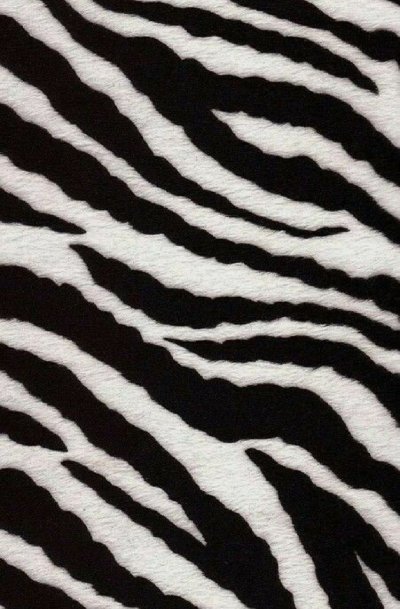 Зебра текстура