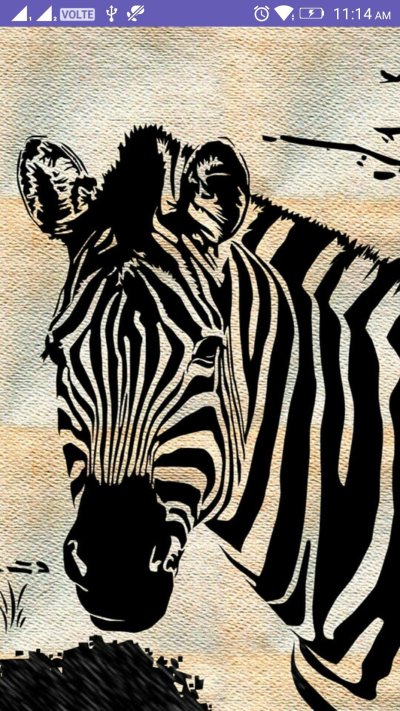 Заставка Зебра