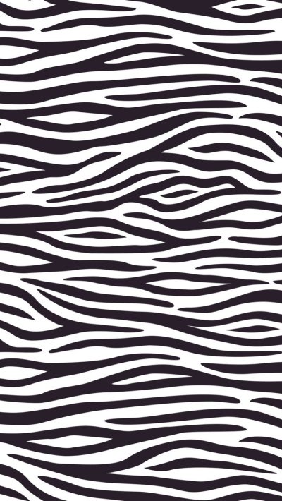 Принт Зебра