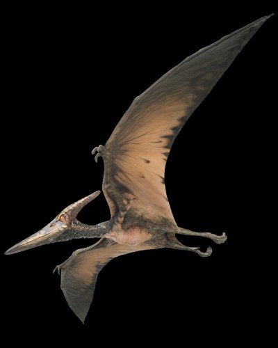 Птеродактиль