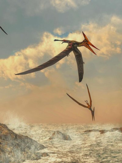 Птеродактиль