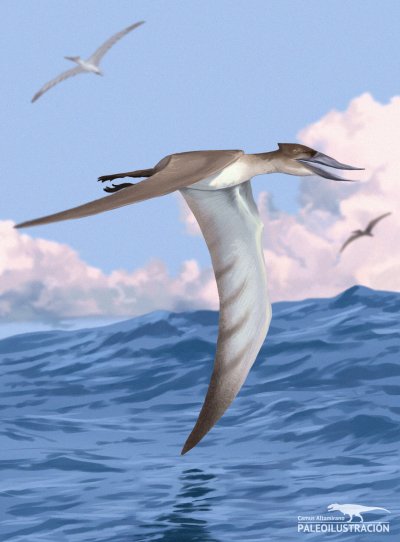 Птерозавры Юрского периода