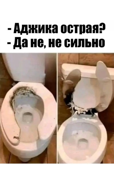 Туалета нет