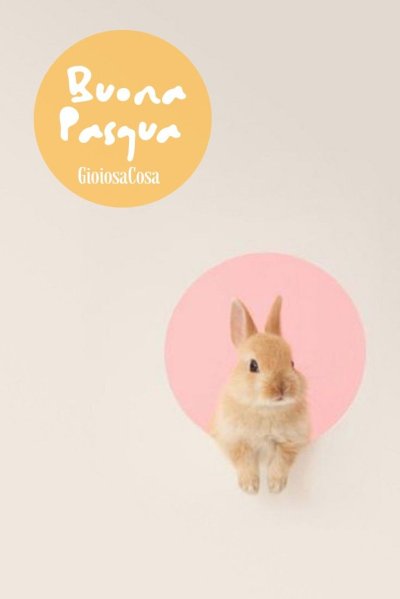 Кролик Минимализм