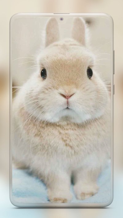 Милые кролики