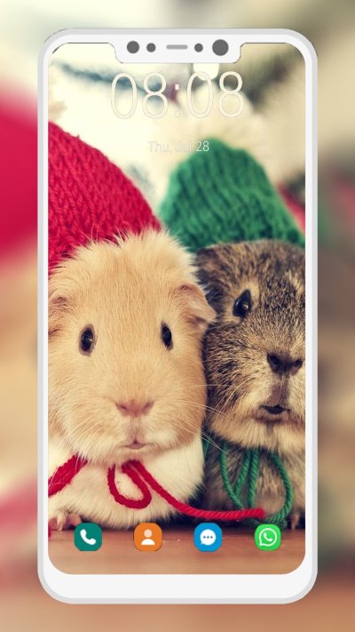 Обои с хомяками