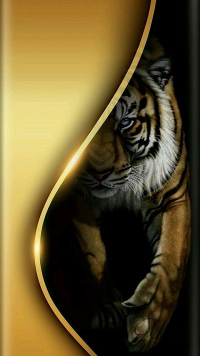 Тигр на заставку
