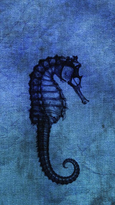 Морской конек