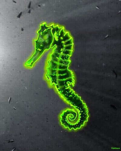 Щупальца Иллаой