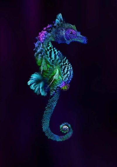 Морской конек