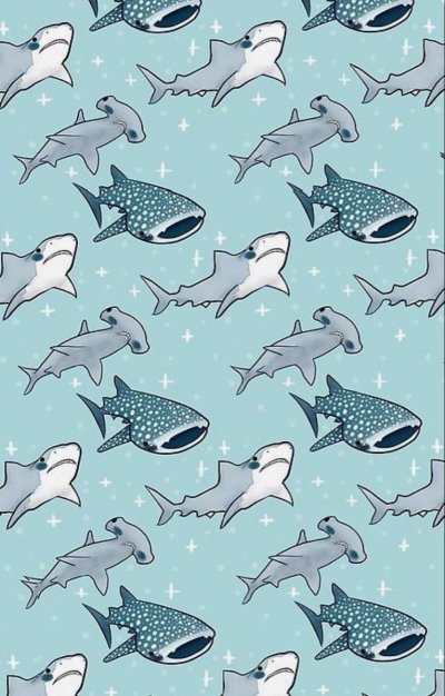 Акула рисунок