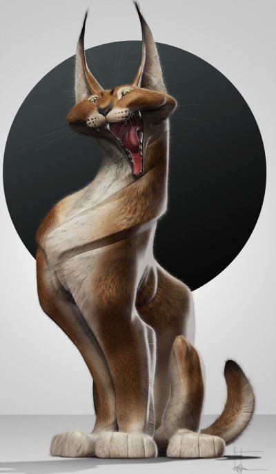 Каракал шлëпа