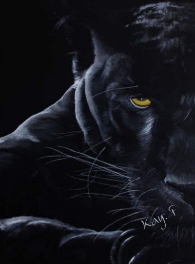 Черная пантера