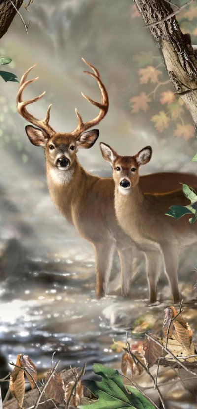 Красивый олень