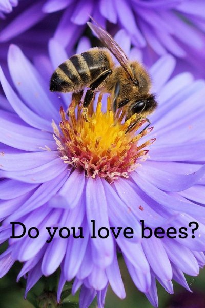 Пчела на цветке