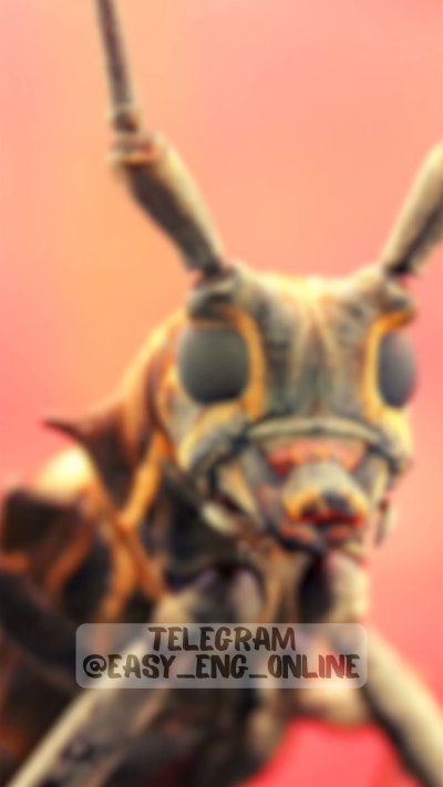 Усачи насекомые