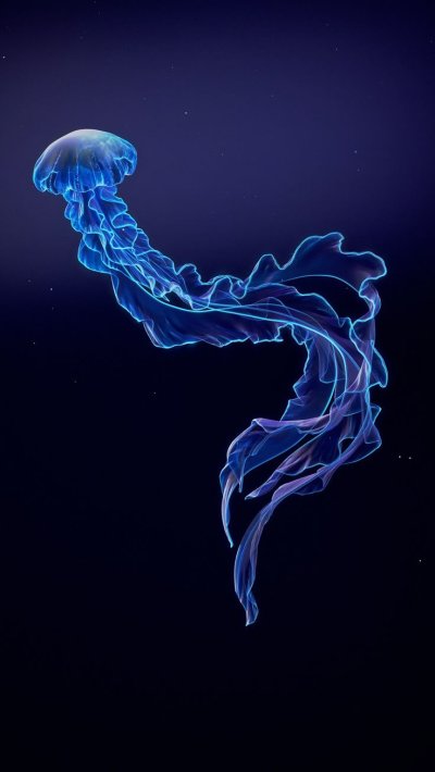 Аурелия фото