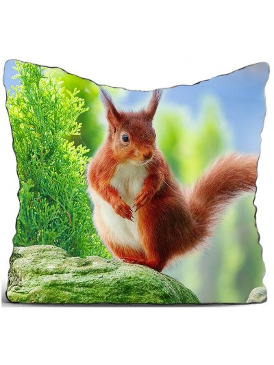 Белка рыжая магнитики