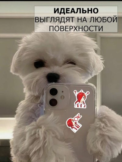 Сорохон Ташбекова